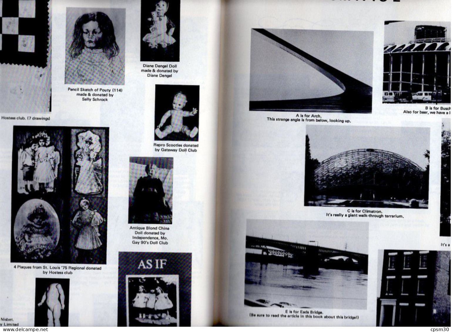 Livre, The Greater St Louis DOLL Club Says, Welcome To United Fédération Of Doll Clubs, 208 Pages 1981 (Missouri) - 1950-Now