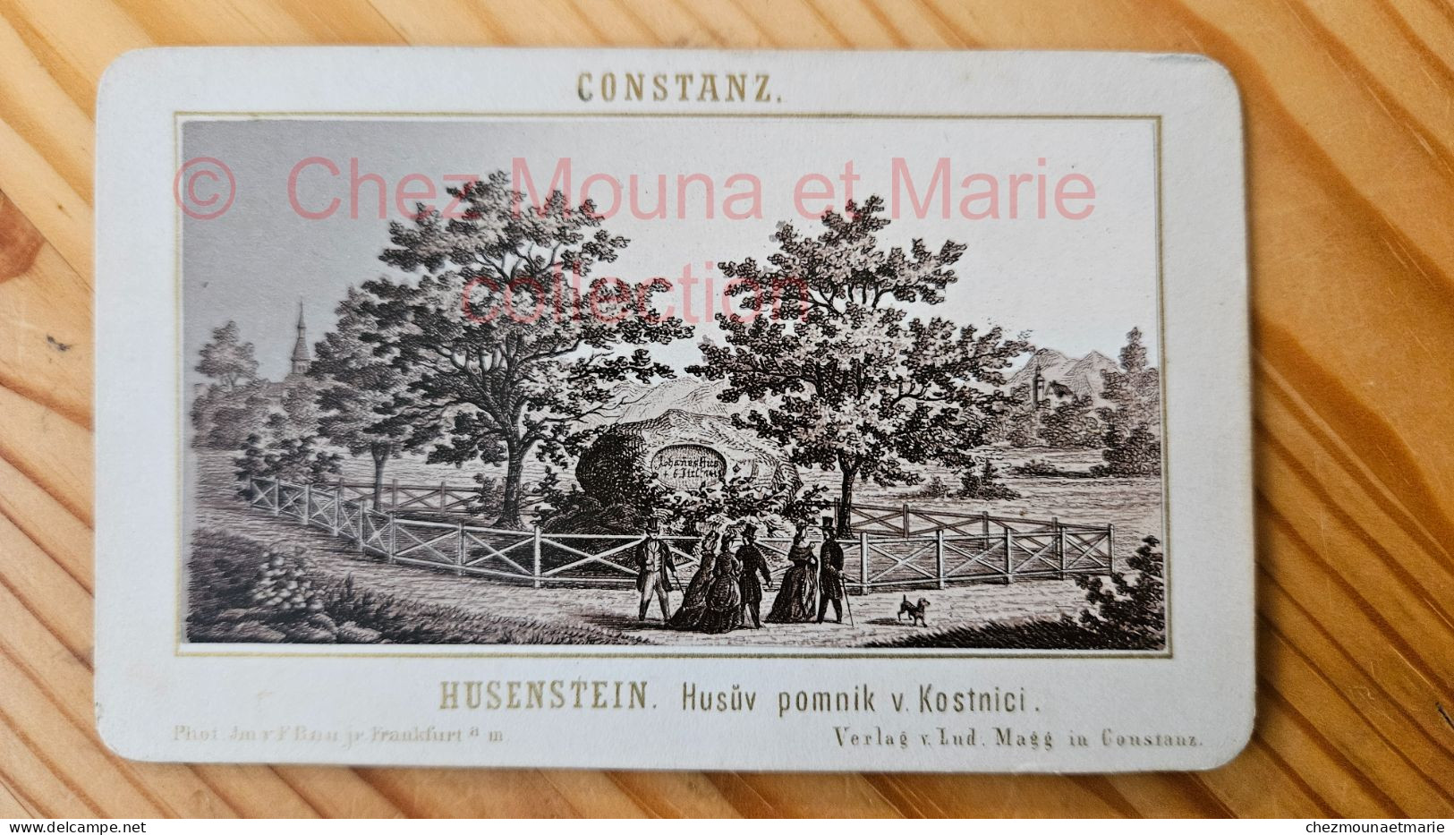 CONSTANZ HUSENSTEIN HUSUV POMNIK V KOSTNICI CDV PHOTO - Antiche (ante 1900)