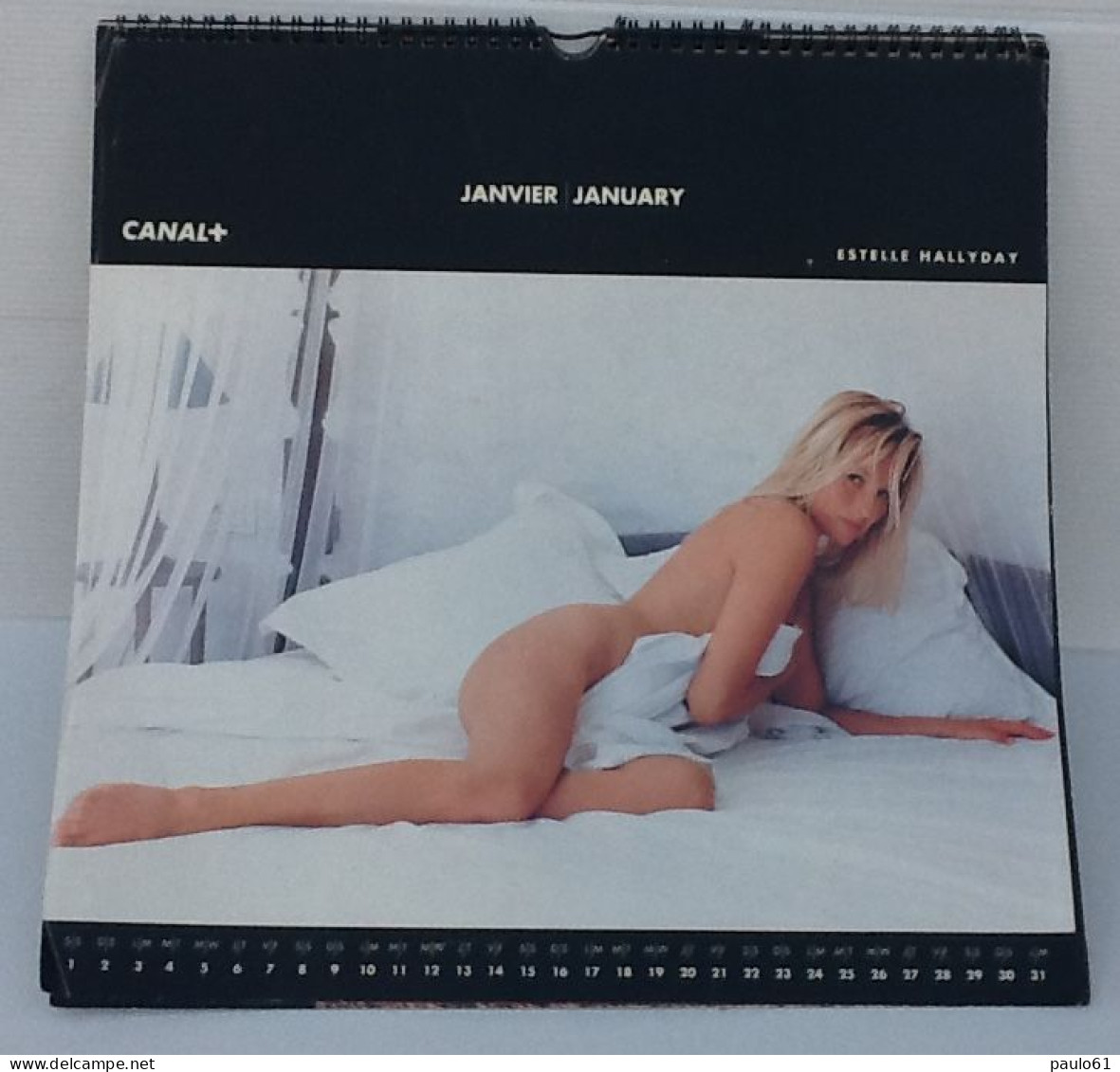 Calendrier 1994 ESTELLE HALLYDAY Dedicassée - Grossformat : 1991-00