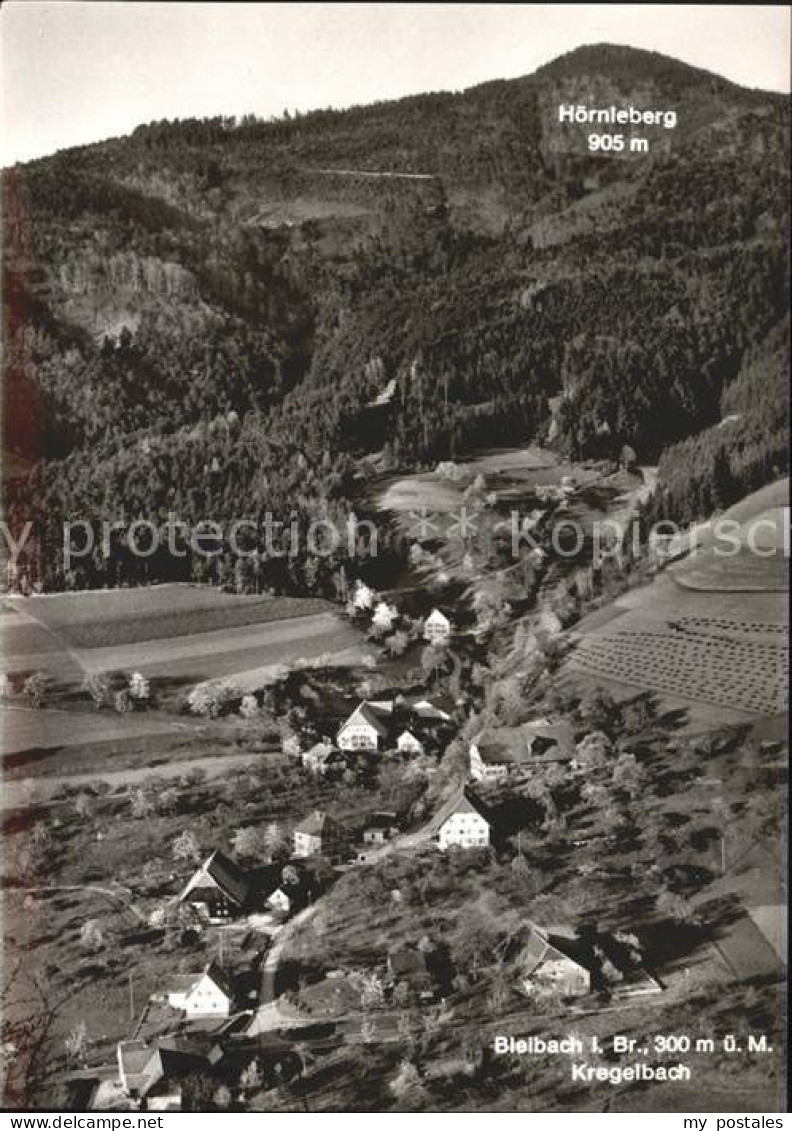 41772948 Bleibach Hoernleberg Kregelbach Bleibach - Gutach (Breisgau)