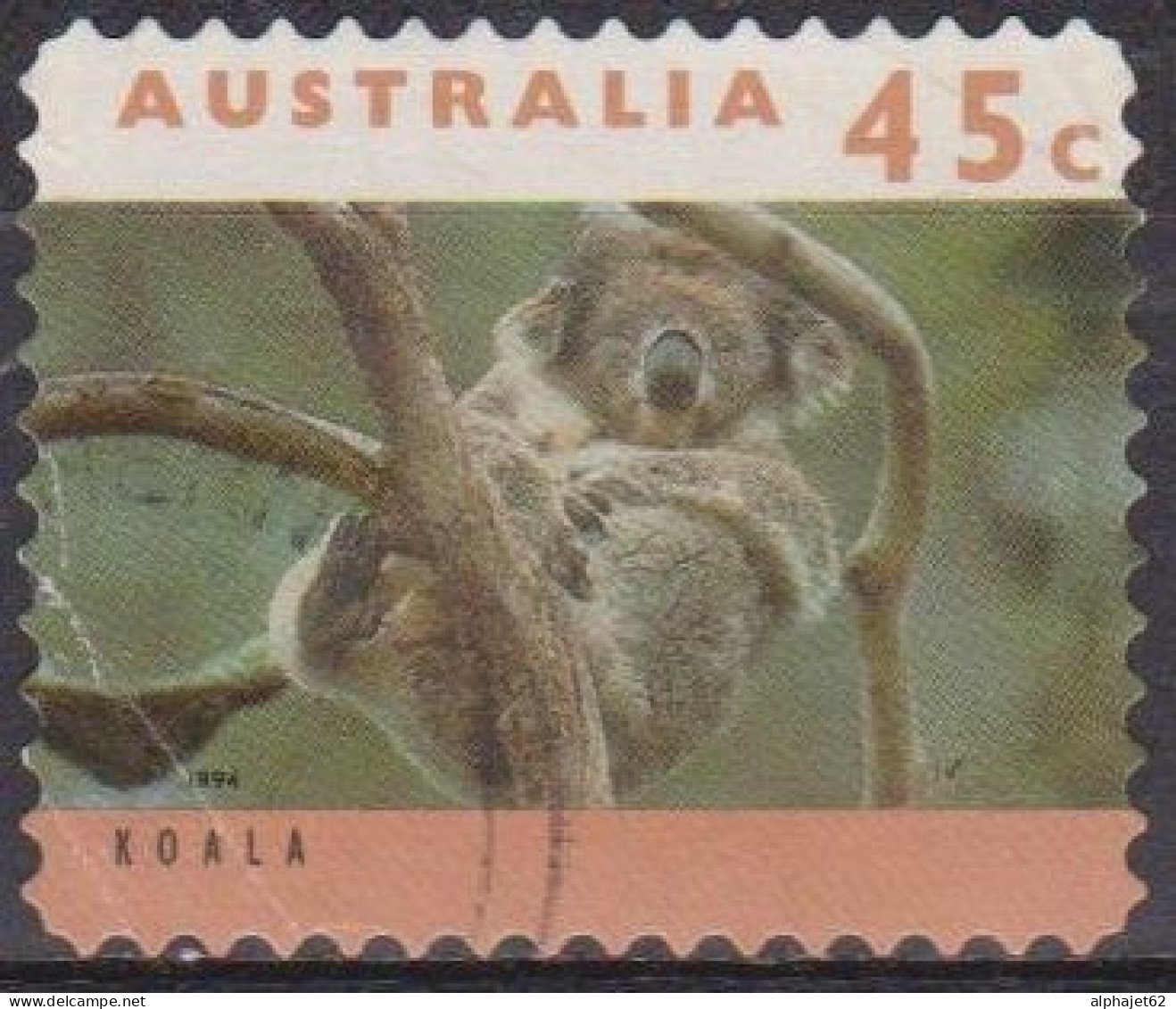 Faune Sauvage - AUSTRALIE - Koala, Sieste Dans Un Arbre - N° 1373 - 1994 - Gebraucht