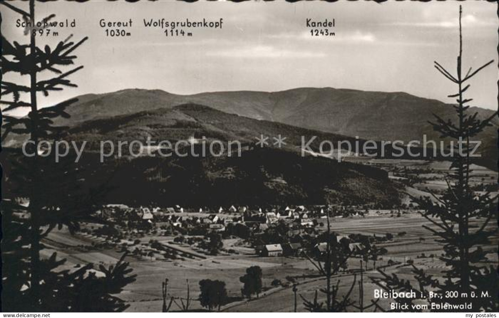 41772575 Bleibach Blick Eulenwald Schlosswald Gereut Wolfsgrubenkopf Bleibach - Gutach (Breisgau)