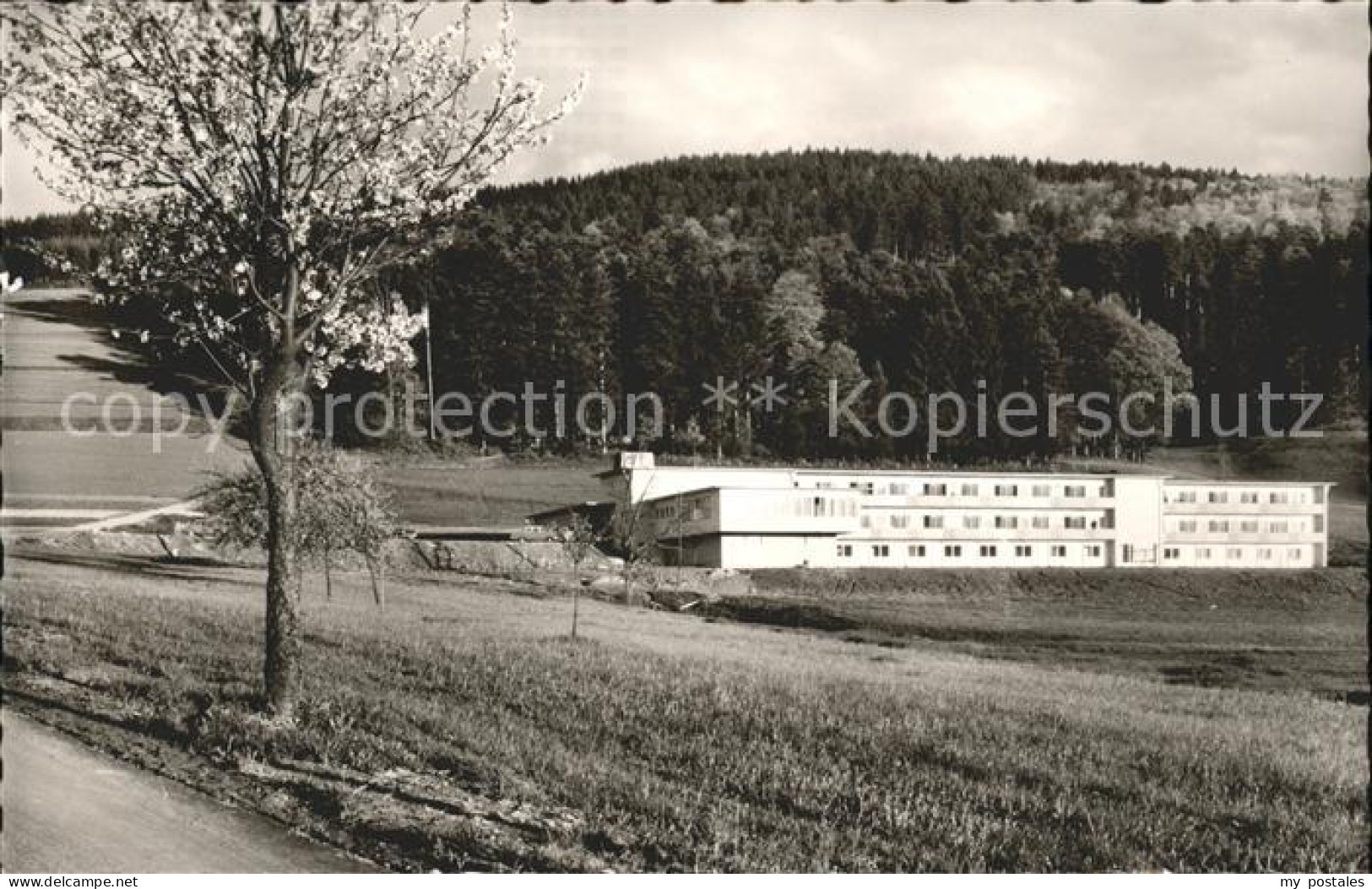 41772555 Elzach Kurheim Elzach - Elzach