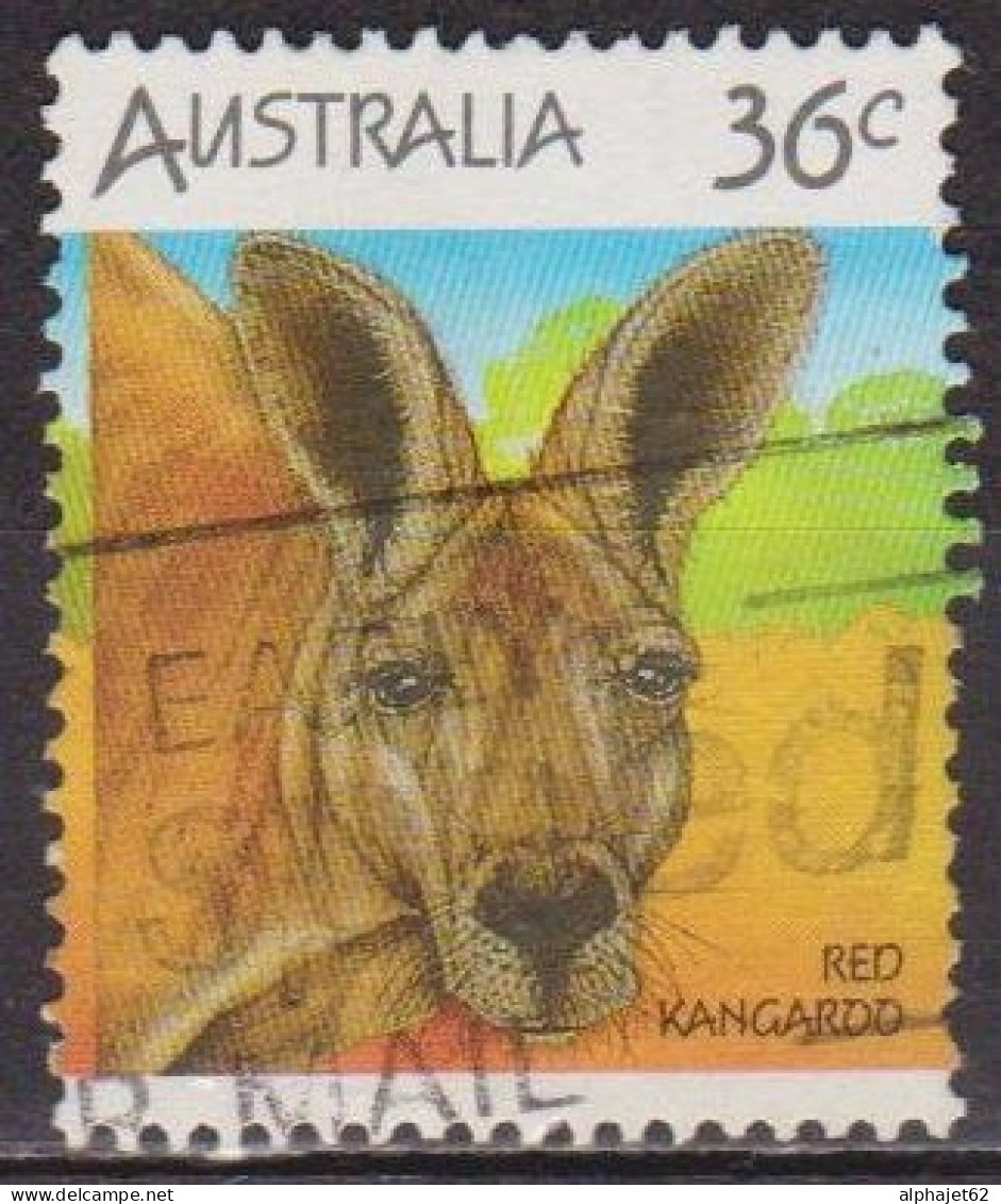 Animaux, Faune - AUSTRALIE - Kangourou - N° 964 - 1988 - Gebraucht