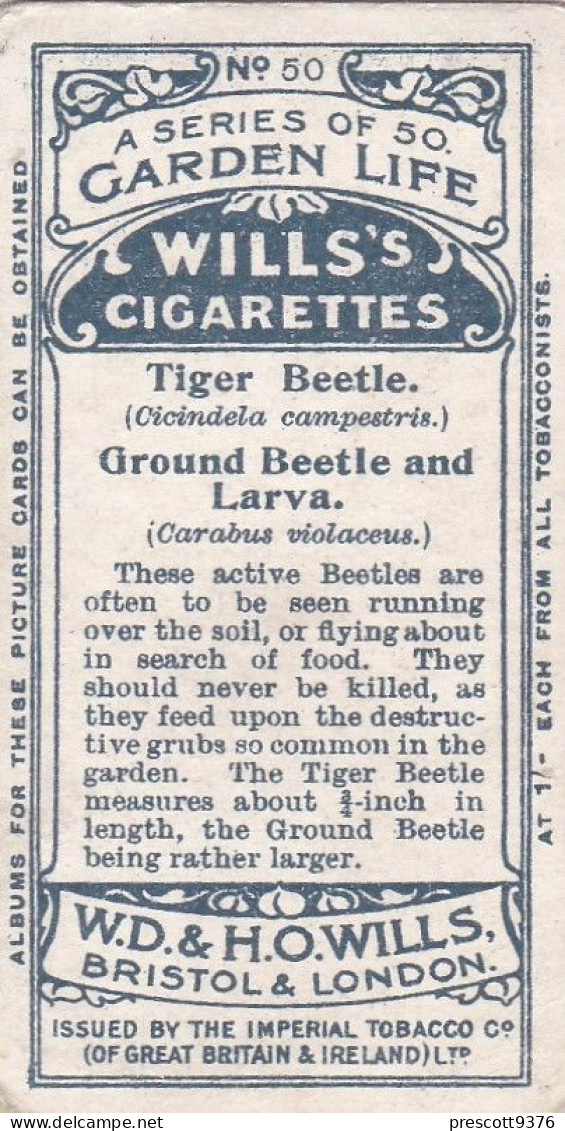 Garden Life, 1914 - Original Wills Cigarette Card - 50 Tiger Beatles - Wills