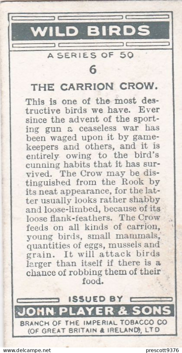 Wild Birds 1932 - Original Players Cigarette Card - 6 Carrion Crow - Player's