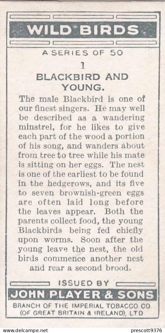 Wild Birds 1932 - Original Players Cigarette Card - 1 Blackbird & Young - Player's