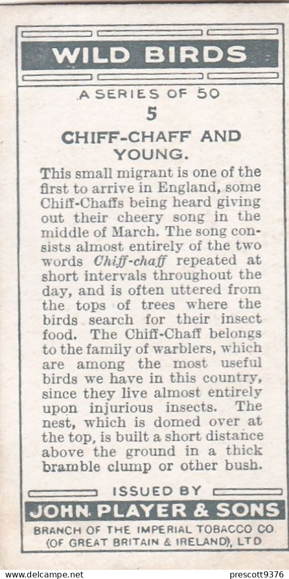 Wild Birds 1932 - Original Players Cigarette Card - 5 Chiff Chaff & Young - Player's