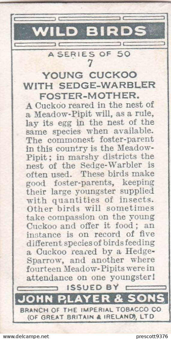 Wild Birds 1932 - Original Players Cigarette Card - 7 Young Cuckoo With Sedge Warbler Foster Mother - Player's