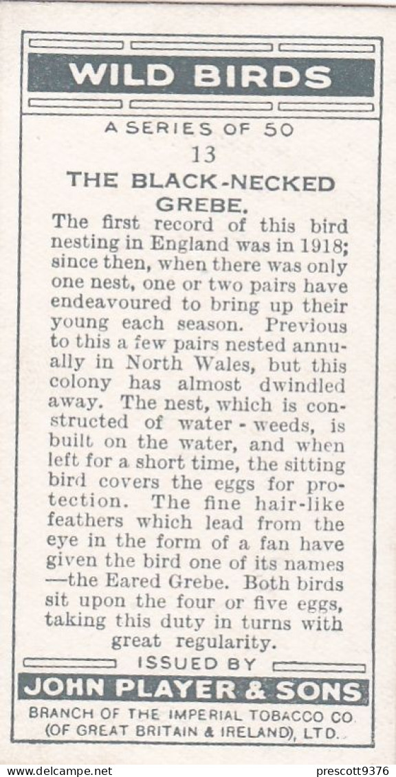 Wild Birds 1932 - Original Players Cigarette Card - 13 Black Necked Grebe - Player's