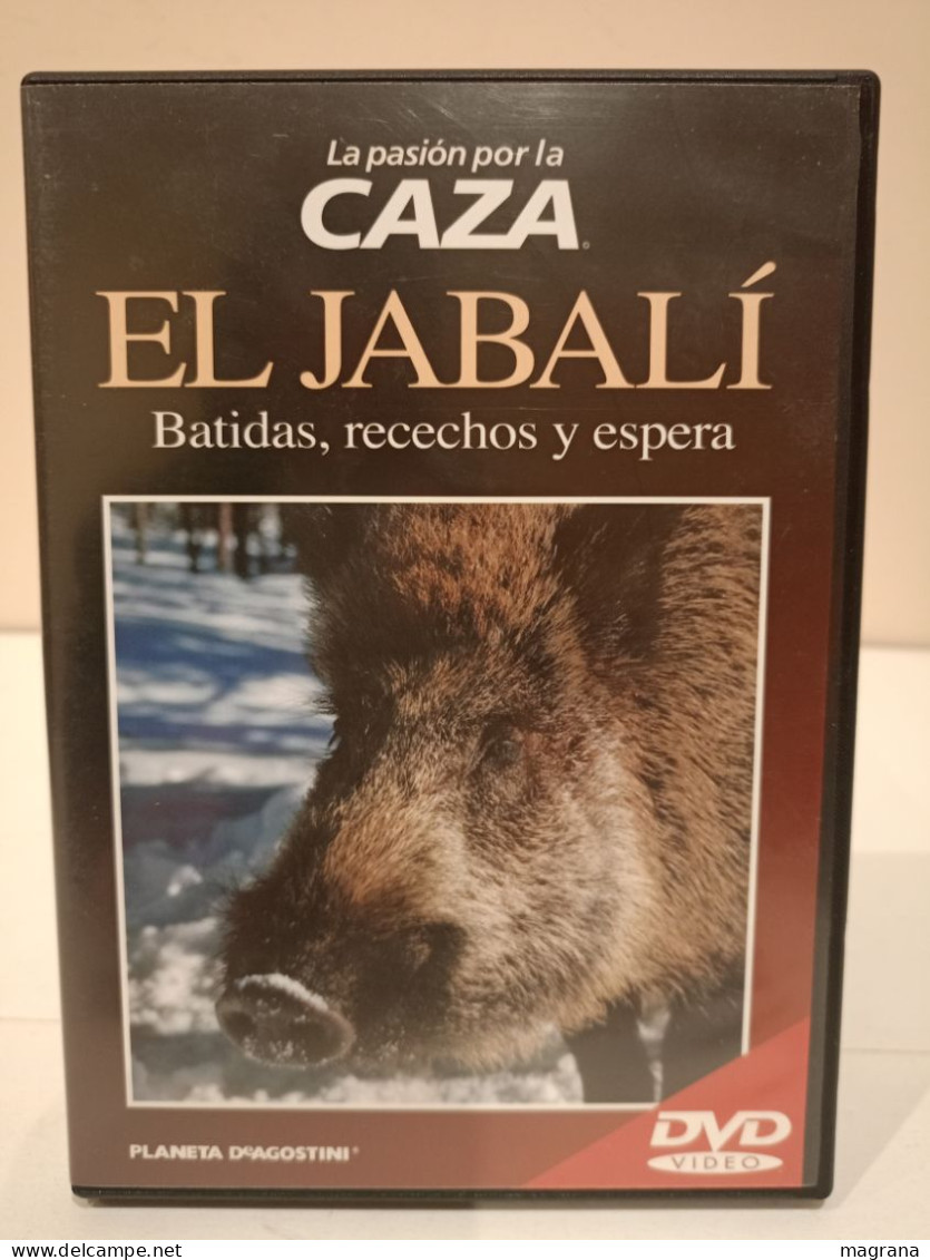 Película Dvd. El Jabalí. Batidas, Recechos Y Espera. La Pasión Por La Caza. Planeta DeAgostini. 2004 - Documentales