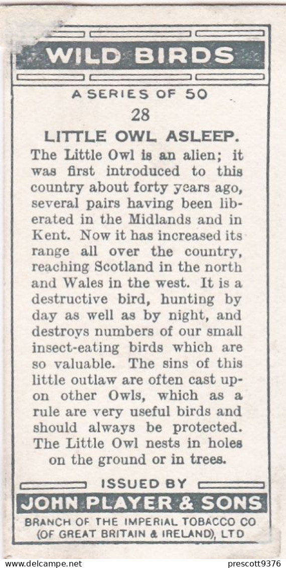 Wild Birds 1932 - Original Players Cigarette Card - 28 Little Owl, Asleep - Player's