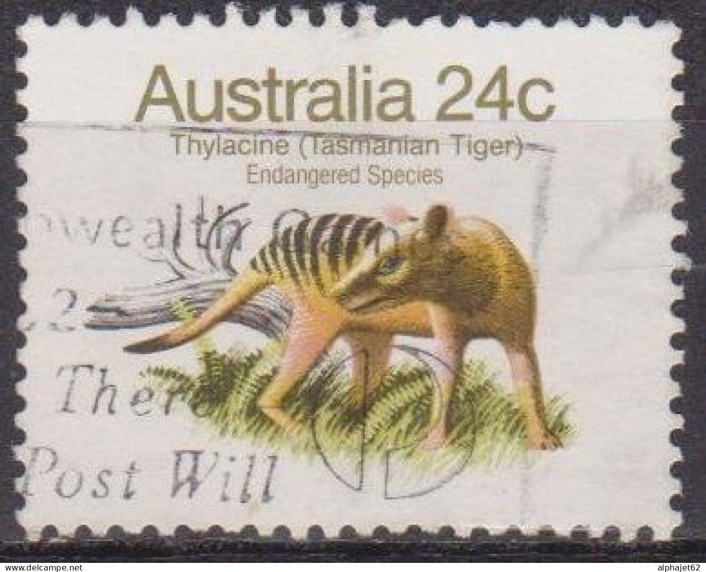 Faune - Animaux - AUSTRALIE - Tylacine - N° 748 - 1981 - Gebraucht