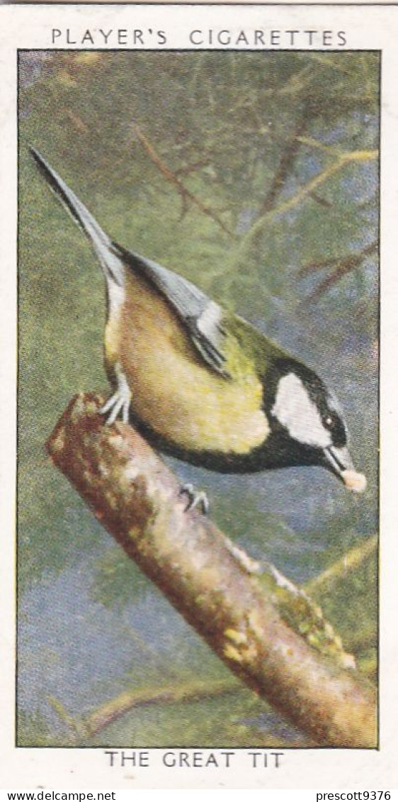 Wild Birds 1932 - Original Players Cigarette Card - 40 Great Tit - Player's