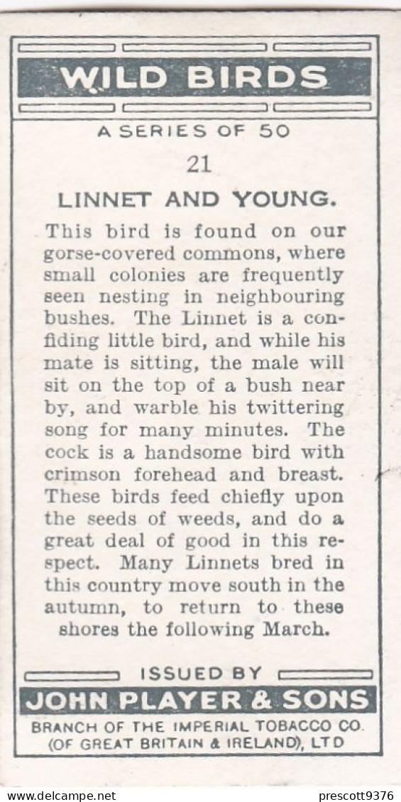 Wild Birds 1932 - Original Players Cigarette Card - 21 Linnet & Young - Player's