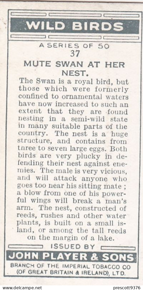 Wild Birds 1932 - Original Players Cigarette Card - 37 Mute Swan At Her Nest - Player's