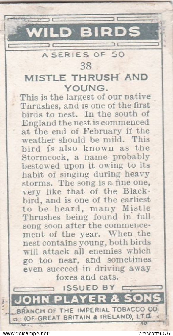 Wild Birds 1932 - Original Players Cigarette Card - 38 Mistle Thrush & Young - Player's