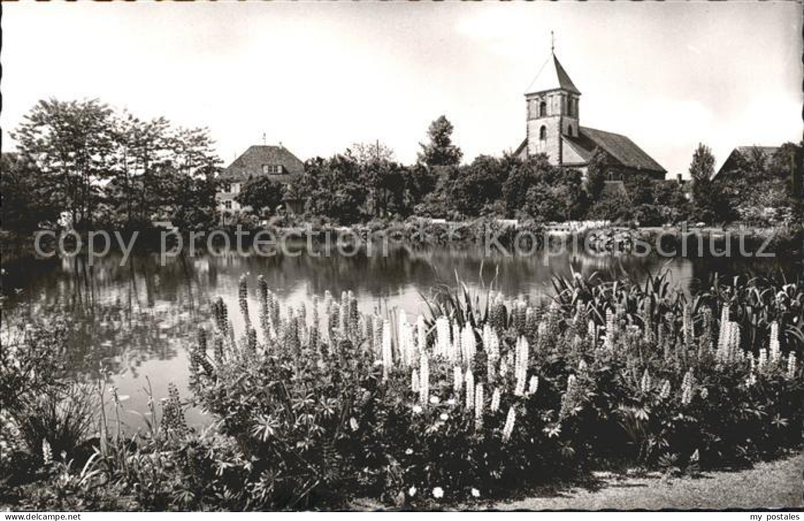 41766059 Achern Baden Hornisgrinde Stadtgarten Achern - Achern