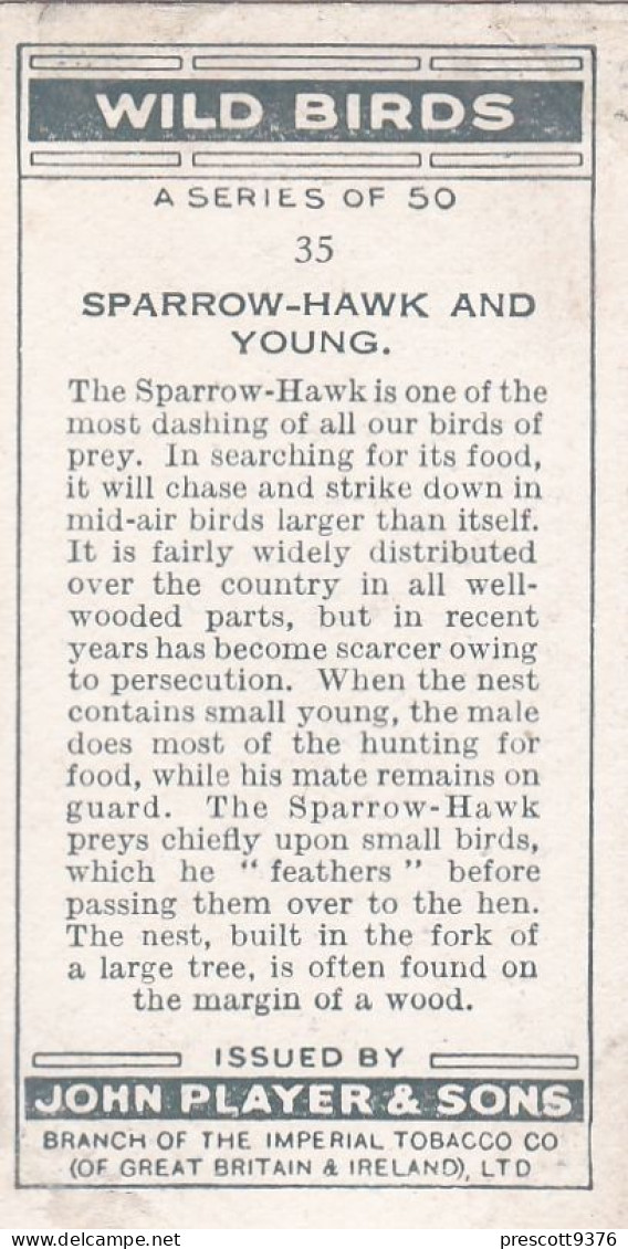 Wild Birds 1932 - Original Players Cigarette Card - 35 Sparrow Hawk & Young - Player's