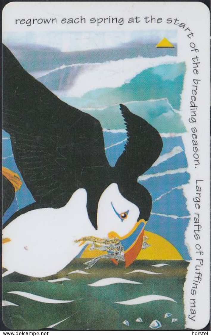 Jersey - 219 - Puffins Puzzle - Part 3(6) - £2 - 68JERC - [ 7] Jersey Und Guernsey