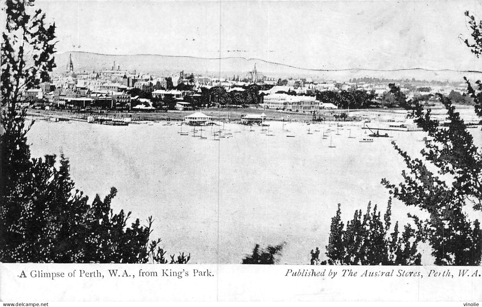 PIE-23-GOLL. 8117 :  A GLIMPSE OF PERTH. W. A. FROM KING' S PARK - Perth