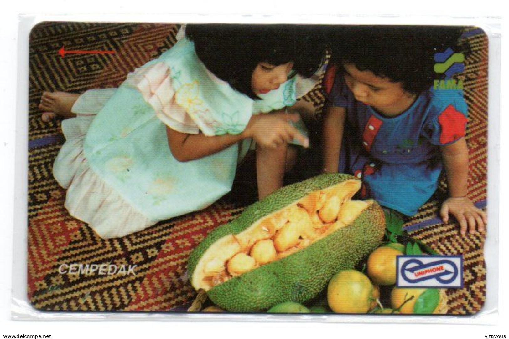 Fruit Télécarte Malaisie Malaysia Phonecard  (R 829) - Malasia