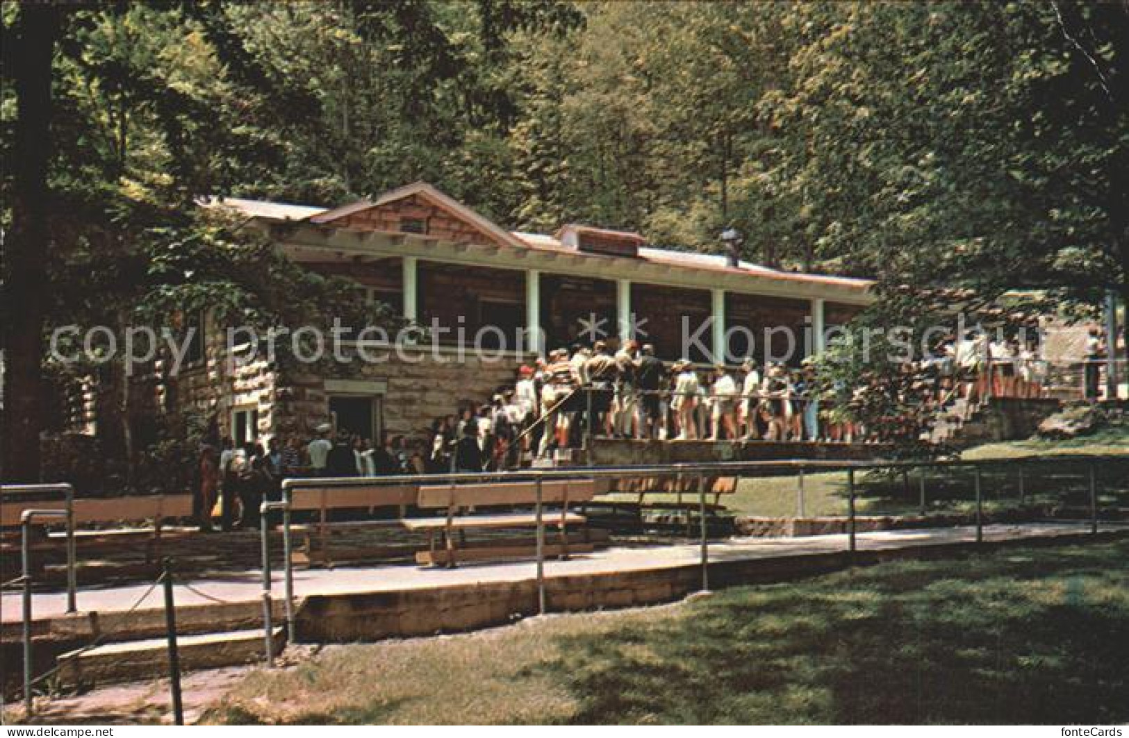 11807055 Webster_Springs Rhododendron Dining Hall - Sonstige & Ohne Zuordnung