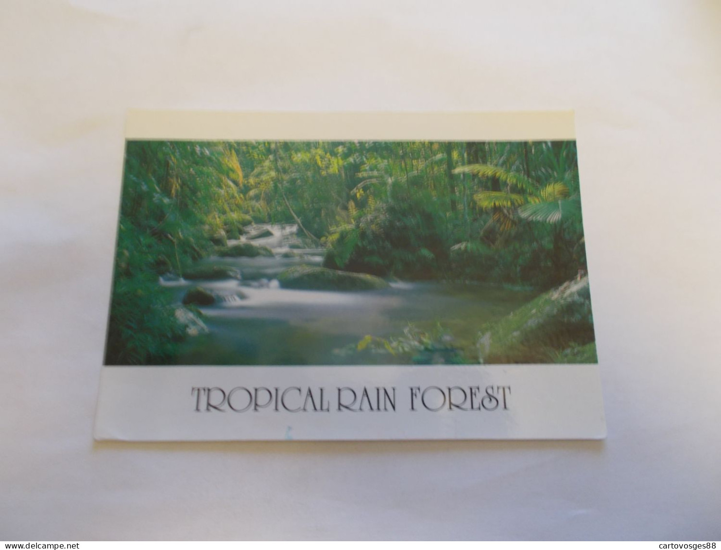 TROPICAL RAINFOREST NORTH QUEENSLAND ( AUSTRALIE AUSTRALIA )  BEAUX TIMBRES - Far North Queensland