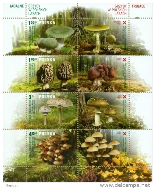 POLAND 2012 Mi. Bl. 210 Polish Mushrooms, Funghi, Nature, Sheet MNH ** - Nuovi