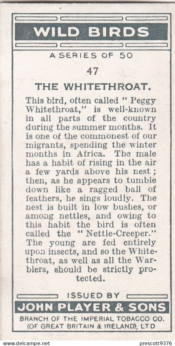 Wild Birds 1932 - Original Players Cigarette Card - 47 Whitethroat - Player's