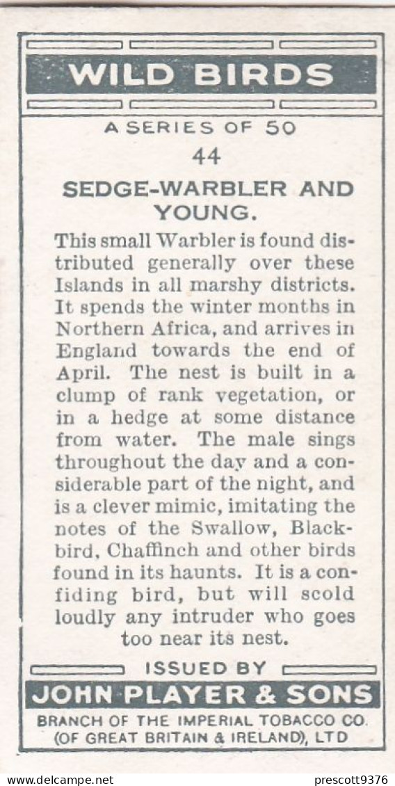 Wild Birds 1932 - Original Players Cigarette Card - 44 Sedge Warbler - Player's