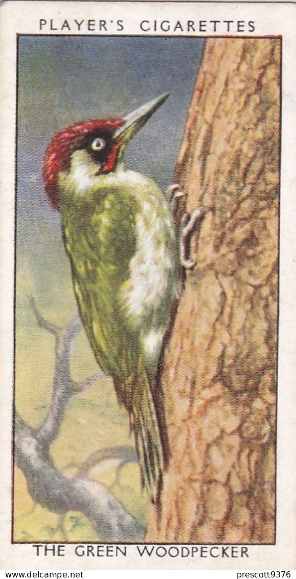 Wild Birds 1932 - Original Players Cigarette Card - 48 The Green Woodpecker - Player's