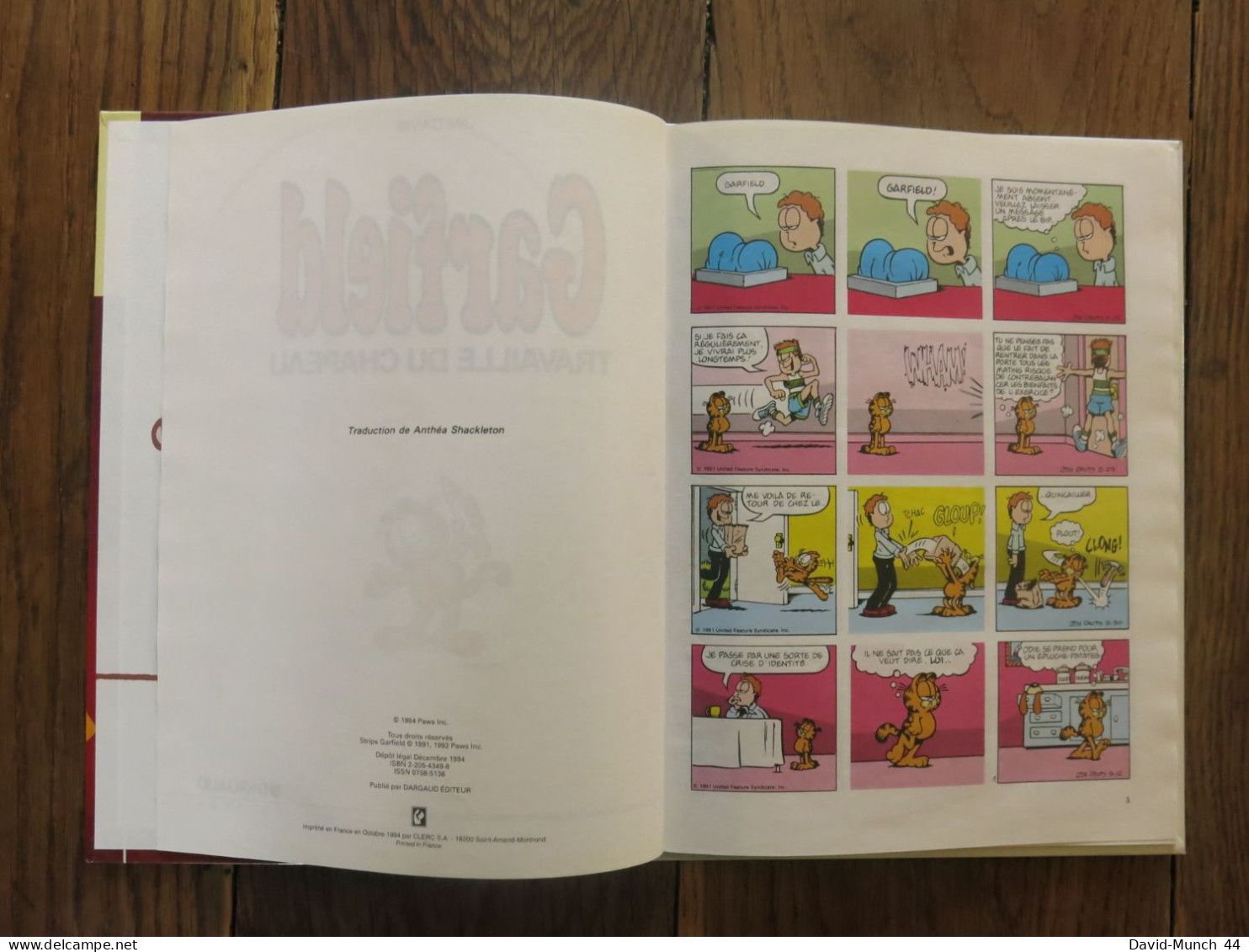 (BD) 2 Albums De Garfiel (numéros 17 Et 19) De Jim Davis. Dargaud éditeur. 1994 - Garfield