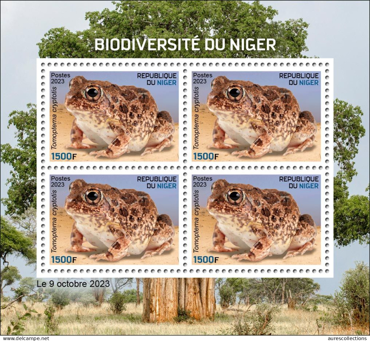 NIGER 2023 - M/S 4V - FROGS FROG TOAD TOADS GRENOUILLES GRENOUILLE AMPHIBIANS AMPHIBIENS - MNH - Grenouilles