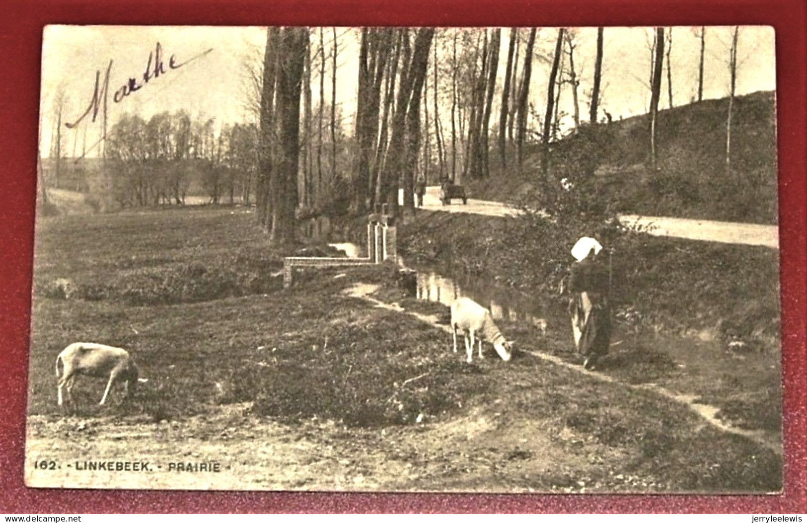 LINKEBEEK  -    Weide  -   La  Prairie    -   1904    - - Linkebeek