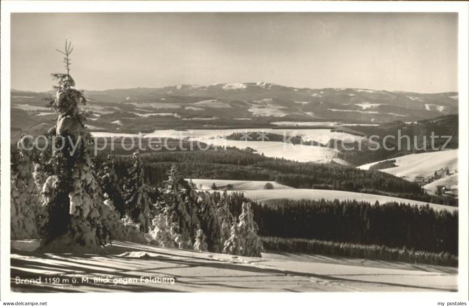 41764038 Furtwangen Panorama Blick Vom Brend Gegen Feldberg Wintersportplatz Ber - Furtwangen