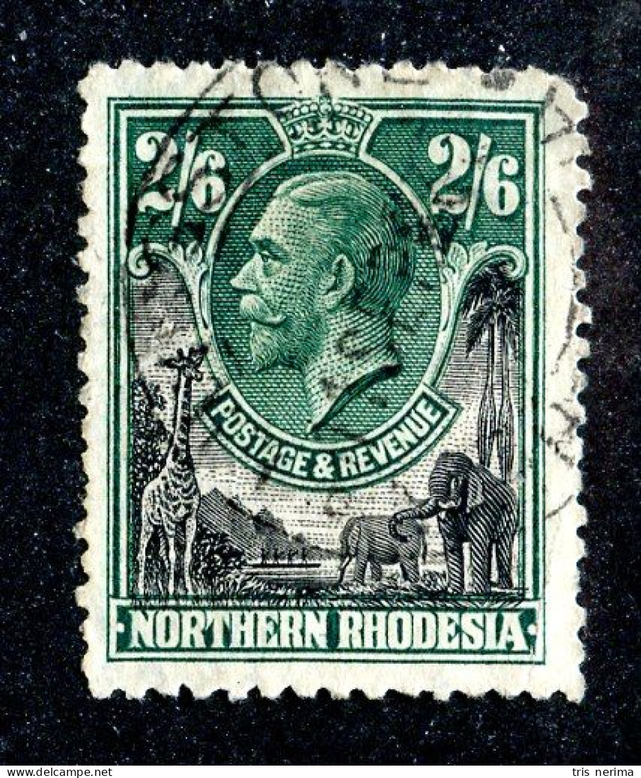 851 BCXX 1925 Northern Rhodesia Scott #12 Used (offers Welcome) - Northern Rhodesia (...-1963)