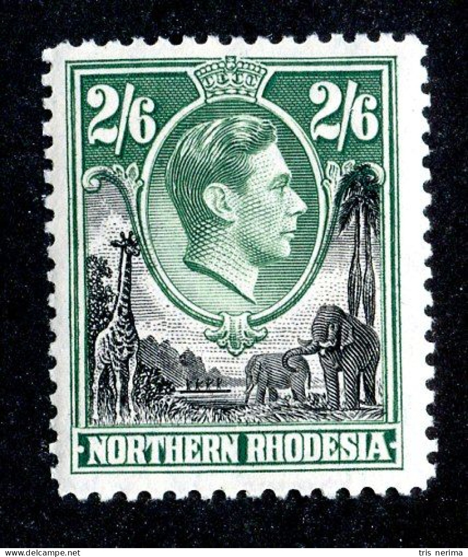 862 BCXX 1938 Northern Rhodesia Scott #41 MLH* (offers Welcome) - Rhodesia Del Nord (...-1963)