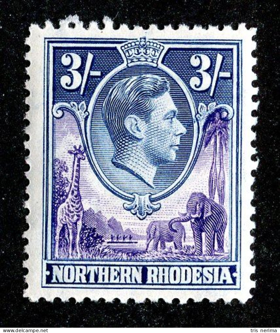 864 BCXX 1938 Northern Rhodesia Scott #42 MLH* (offers Welcome) - Rhodesia Del Nord (...-1963)