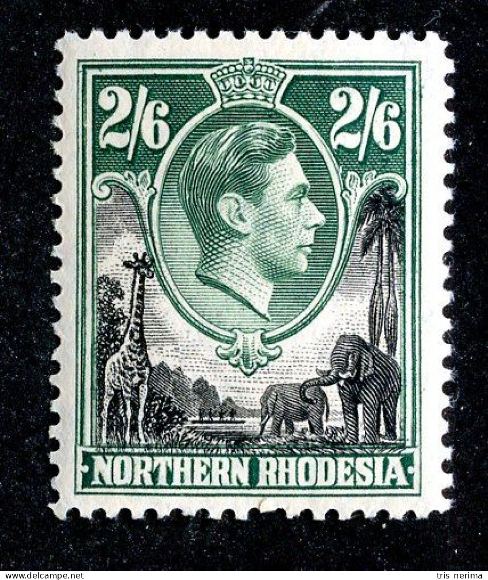 865 BCXX 1938 Northern Rhodesia Scott #41 MNH** (offers Welcome) - Rhodesia Del Nord (...-1963)