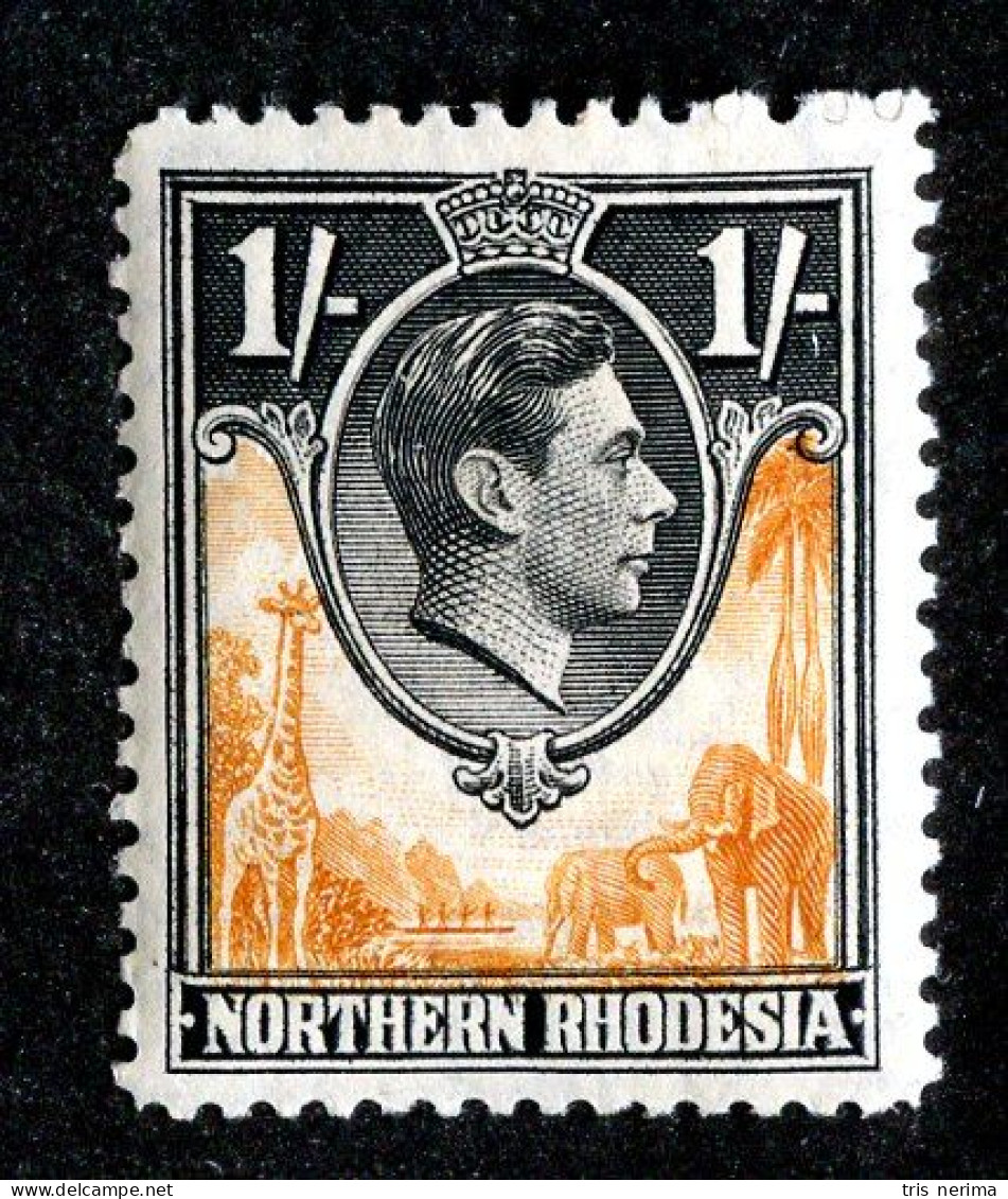 867 BCXX 1938 Northern Rhodesia Scott #40 MNH** (offers Welcome) - Rodesia Del Norte (...-1963)