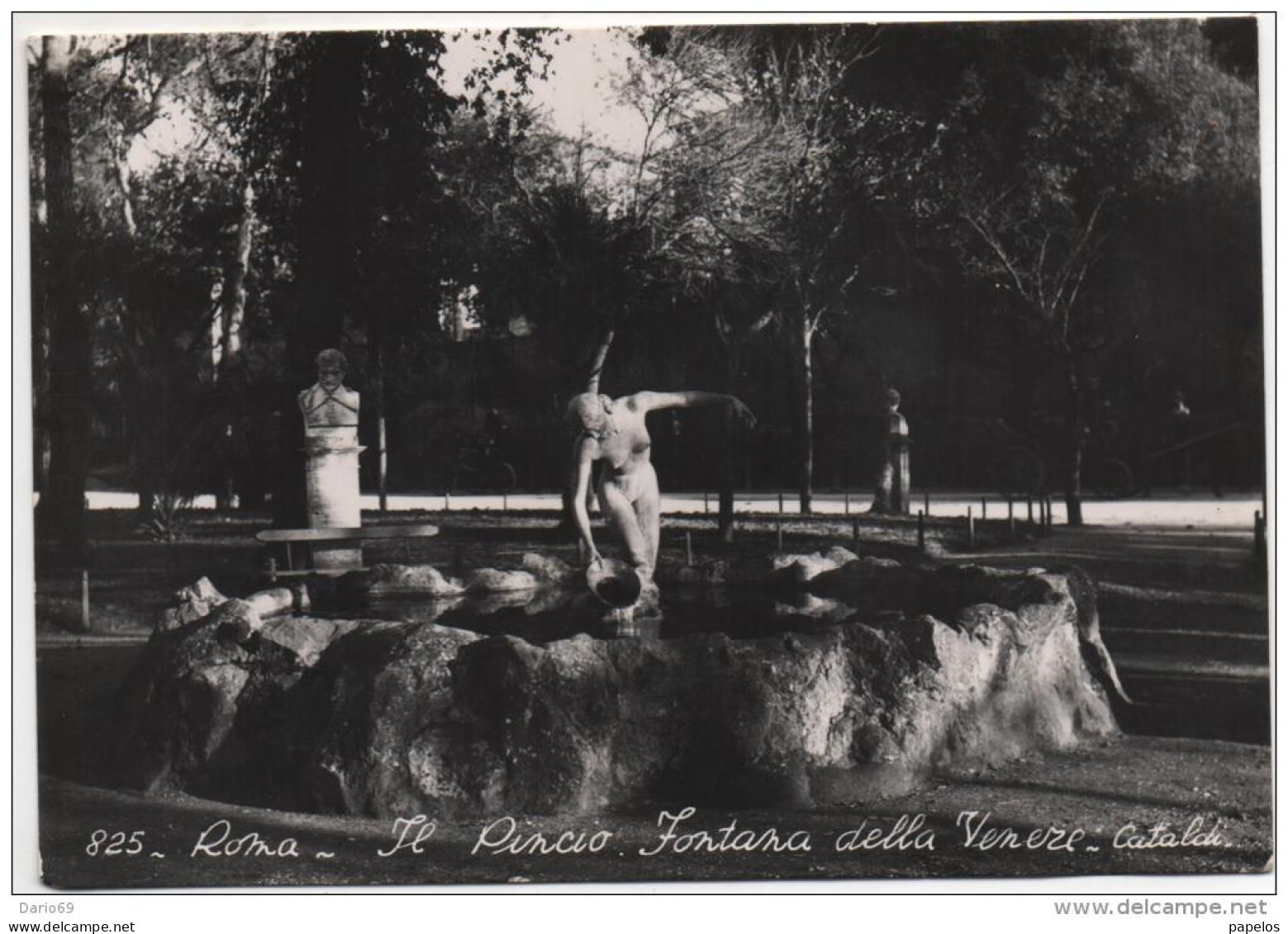 1954 CARTOLINA ROMA - Parks & Gardens