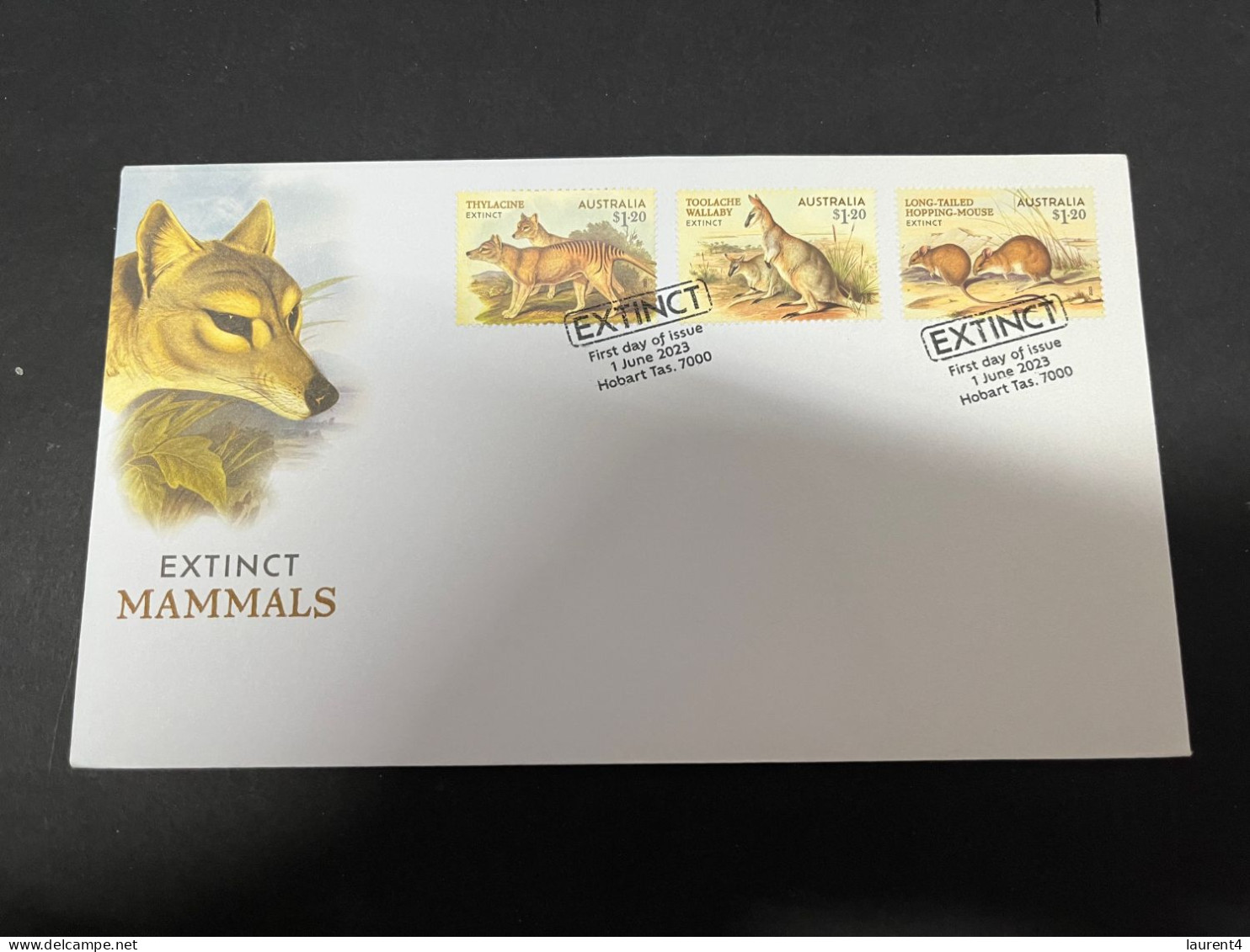 6-1-2024 (4 W 27) Australia FDC Cover - 2023 - Extincs Mammals (Thylacine - Toolaghe Wallaby - Hopping Mouse) - FDC