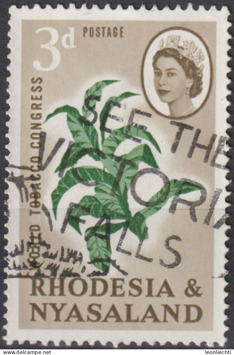 1963 Rhodesien & Nyasaland ° Mi:GB-RH 45, Sn:GB-RH 184, Yt:GB-RH 44,Tobacco Plant - Rodesia & Nyasaland (1954-1963)