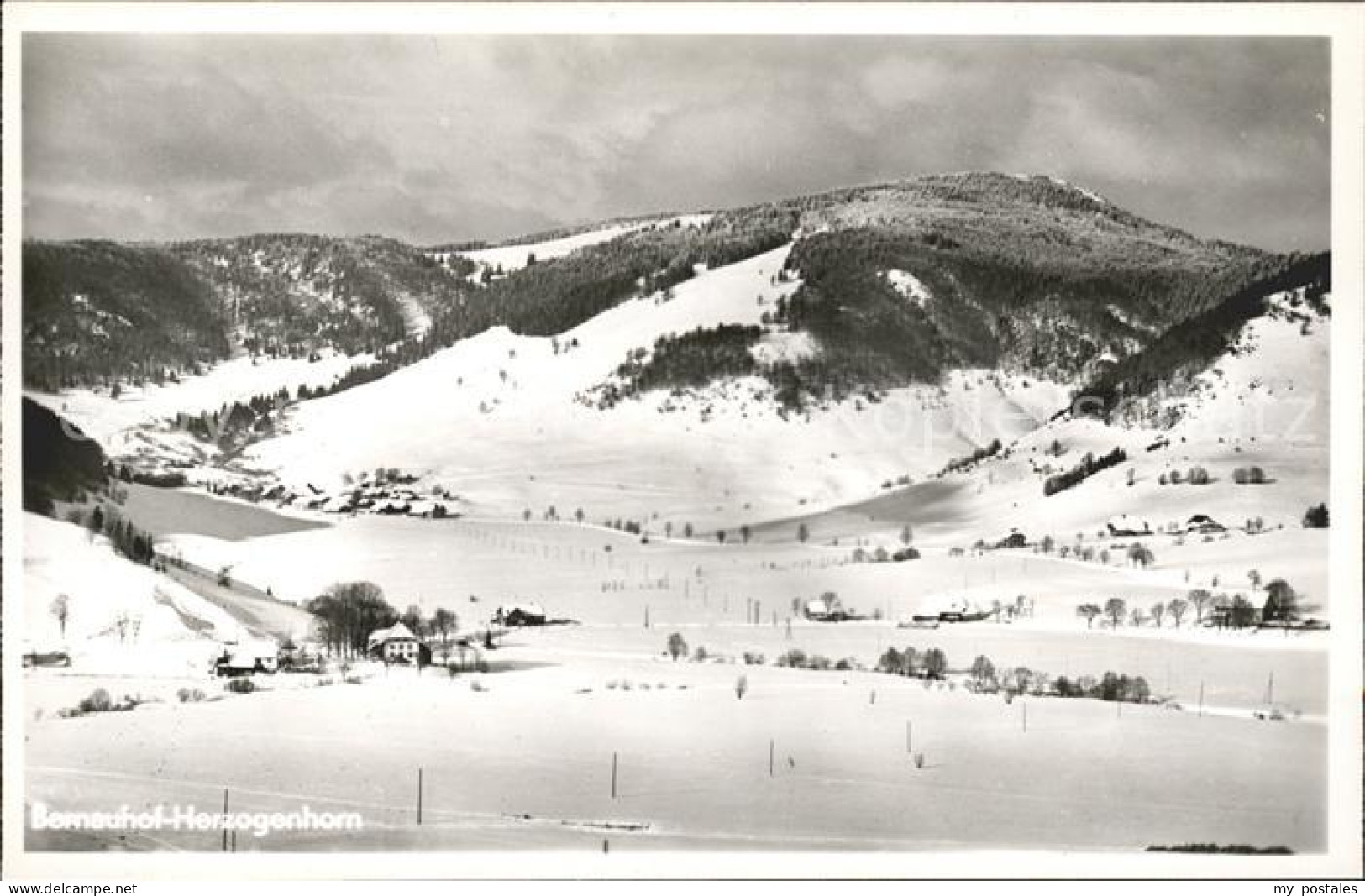 41752860 Bernau Schwarzwald Herzogenhorn Gasthaus-Pension Reinhardshof Bernau - Bernau