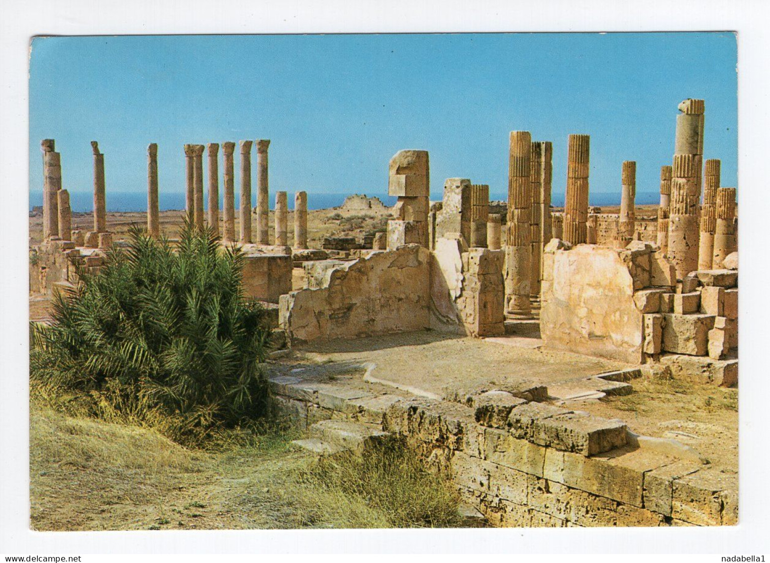 1981. LIBYA,BENGAZI TO BELGRADE,YUGOSLAVIA,APOLLONIA POSTCARD,USED - Libia