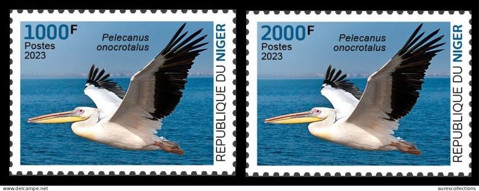 NIGER 2023 - SET 2V - PELICAN PELICANS - BIRDS OISEAUX - MNH - Pelikane