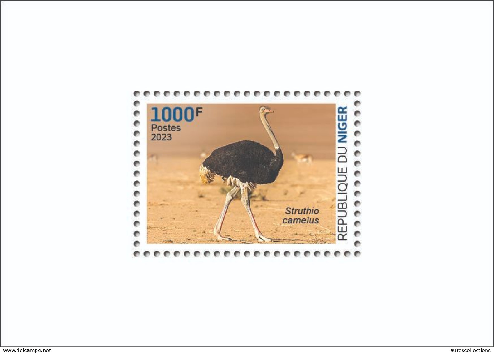 NIGER 2023 - SHEET - OSTRICH AUTRUCHE AUTRUCHES - BIRDS OISEAUX - LUXE MNH - Ostriches