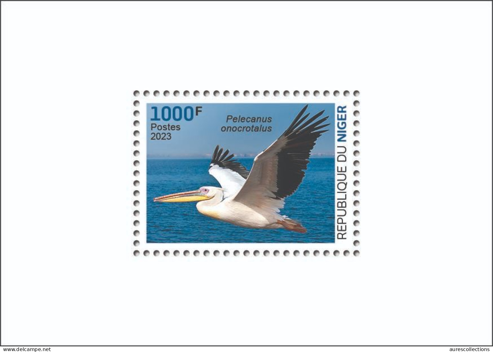 NIGER 2023 - SHEET - PELICAN PELICANS - BIRDS OISEAUX - LUXE MNH - Pelícanos