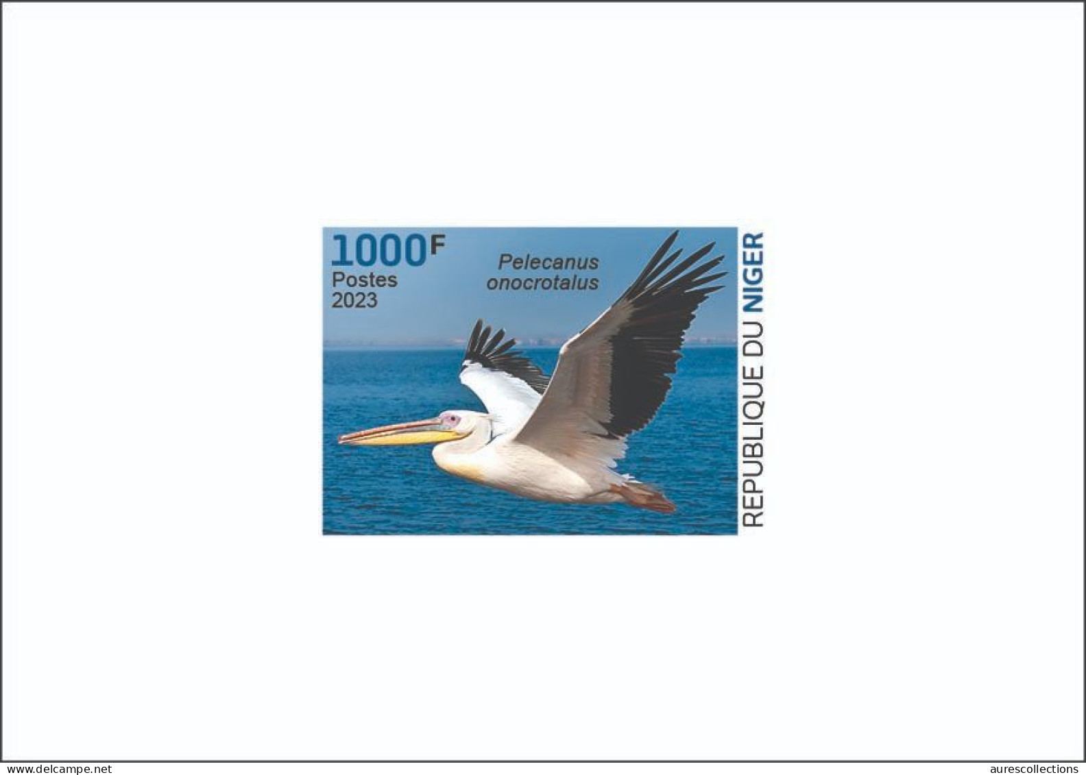 NIGER 2023 - DELUXE PROOF- PELICAN PELICANS - BIRDS OISEAUX - Pélicans